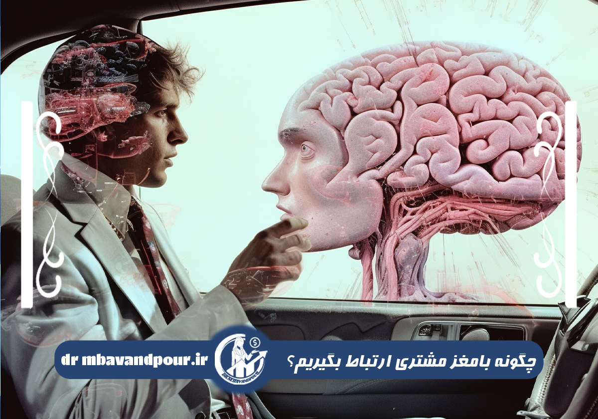 متقاعدسازی و مغز